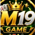 M19 Game