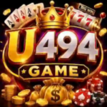 U494 Game